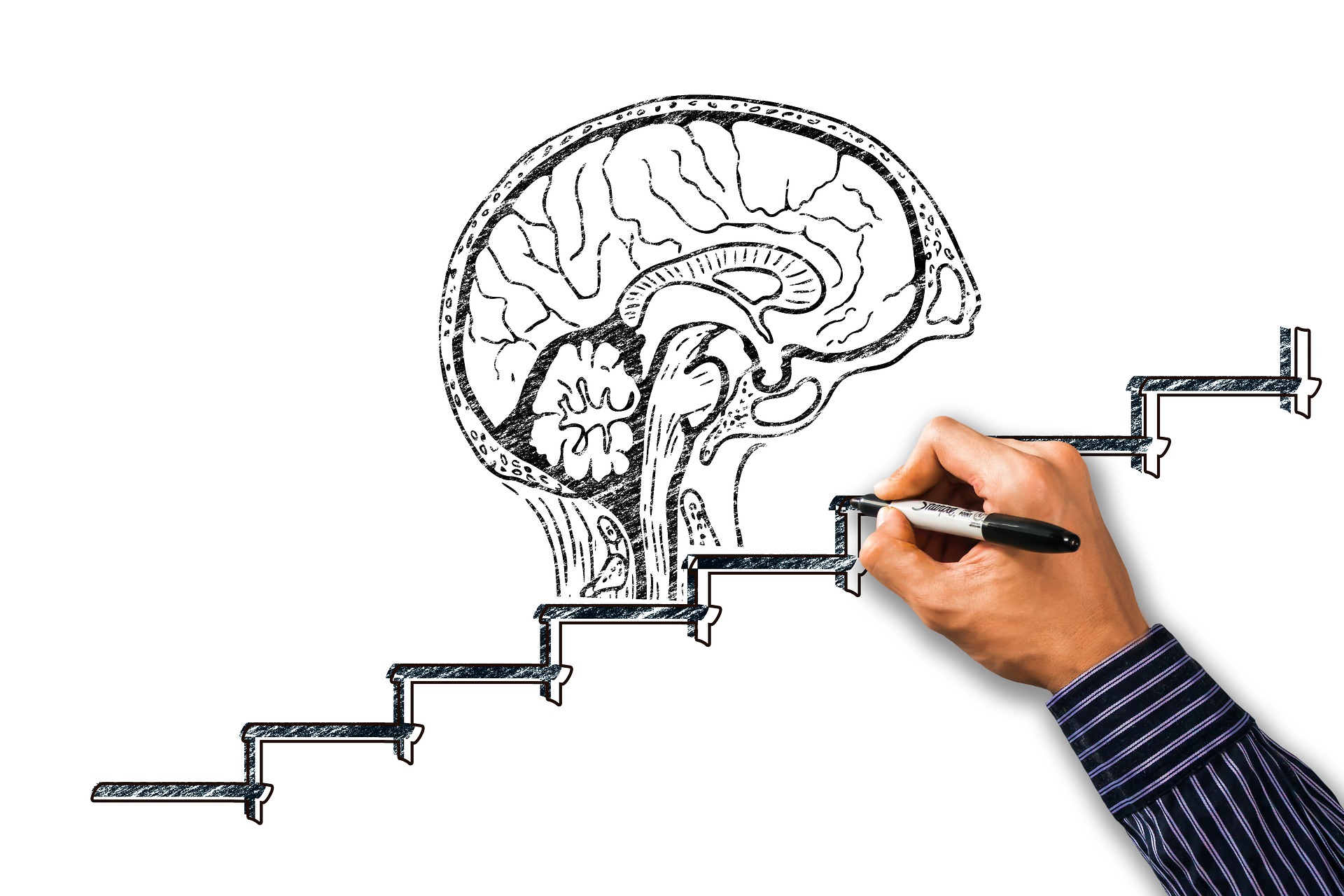 Hand drawing a staircase rising towards a brain: planning a path to growth